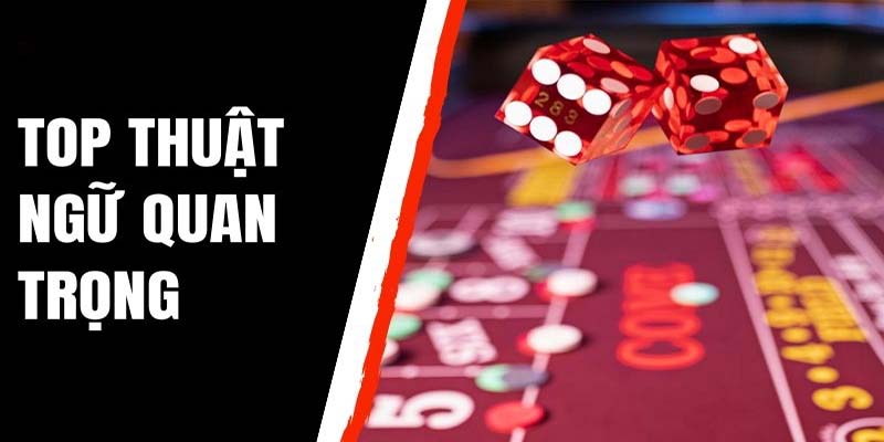 Từ điển thuật ngữ của Craps không nên bỏ qua