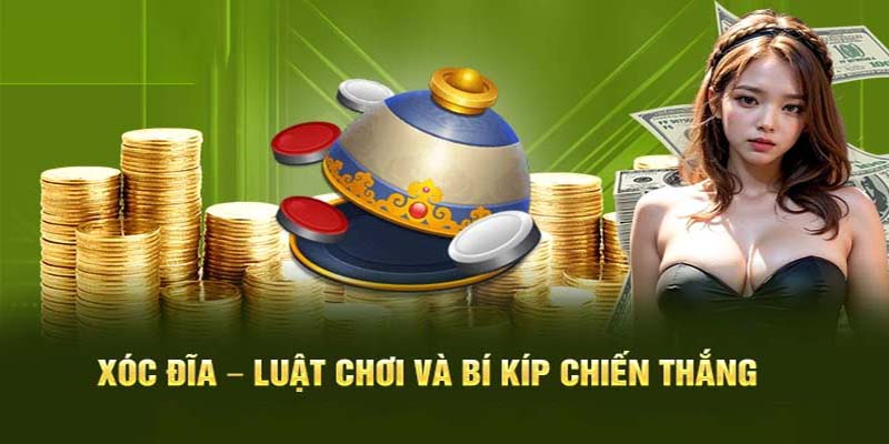 Bí thuật xóc đĩa hiệu quả dành cho tân binh